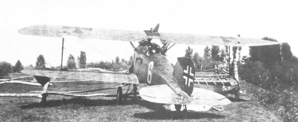 AlbatrosDIII_Printscale_KukPolen.jpg