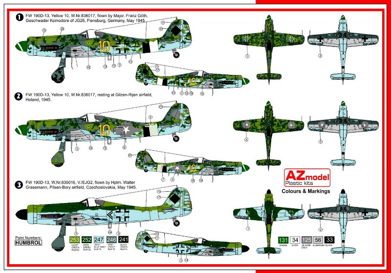 Focke-Wulf Fw190 D-13/R11