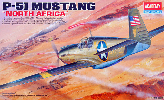 North American P51A Mustang North Africa