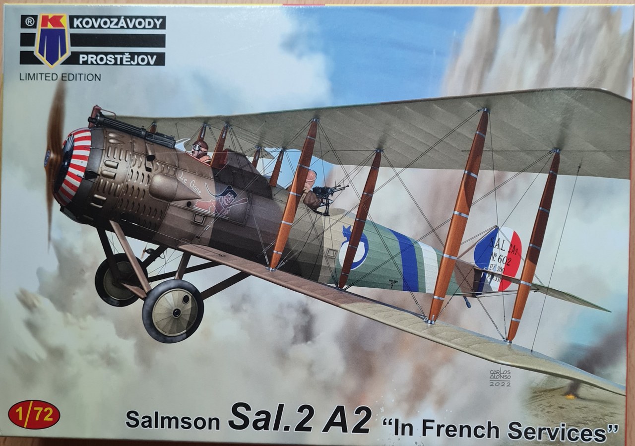 Salmson Sal. 2A2 "In French Services"