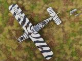 Zebras, Dornier Do27 Grzimek