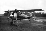 Siemens-Schuckert D.III Udet, Siemens-Schuckert D.III